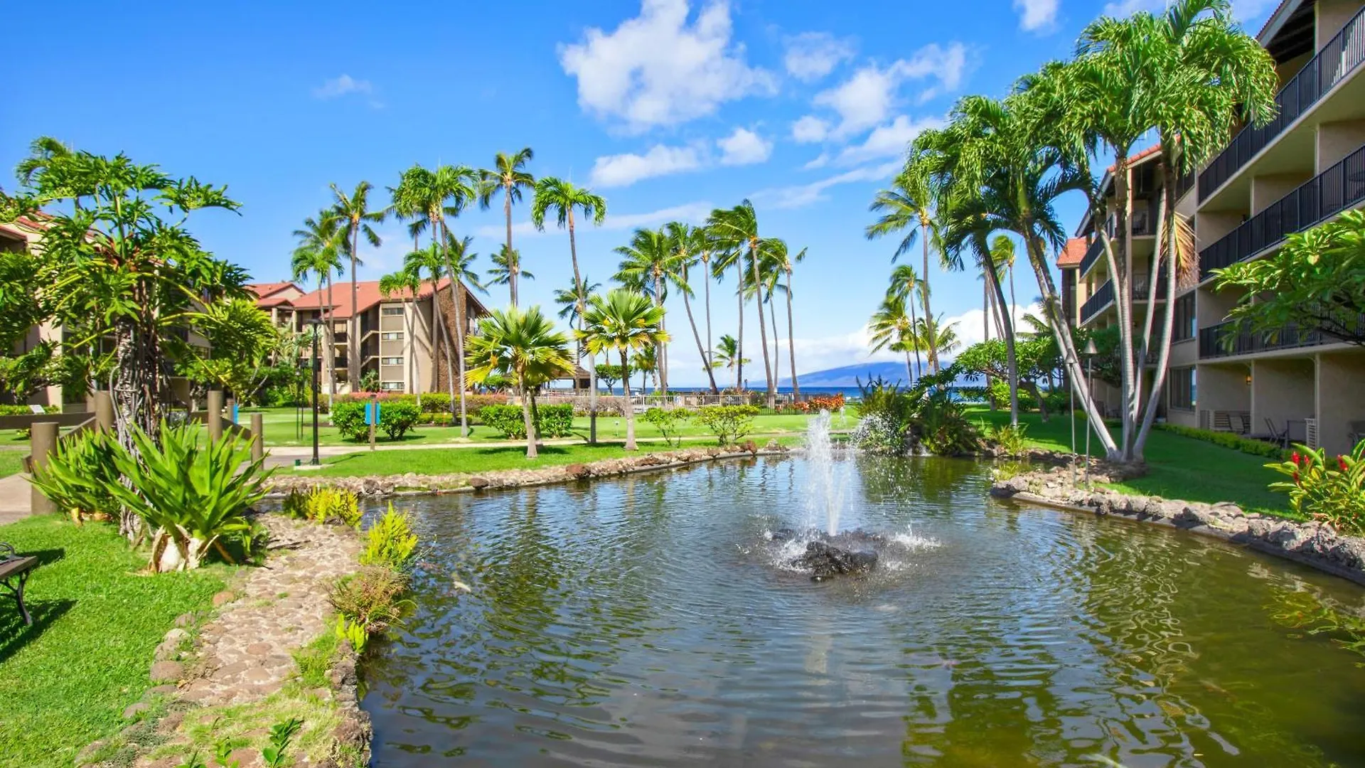 Papakea Resort K301 - 1Br Ocean View Condo With Free Parking! Kahana United States