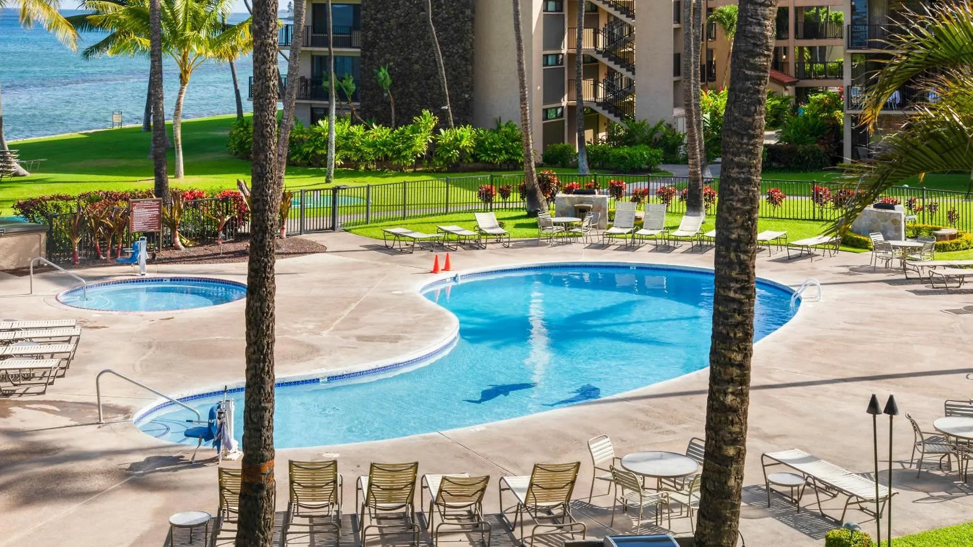 Apartment Papakea Resort K301 - 1Br Ocean View Condo With Free Parking! Kahana