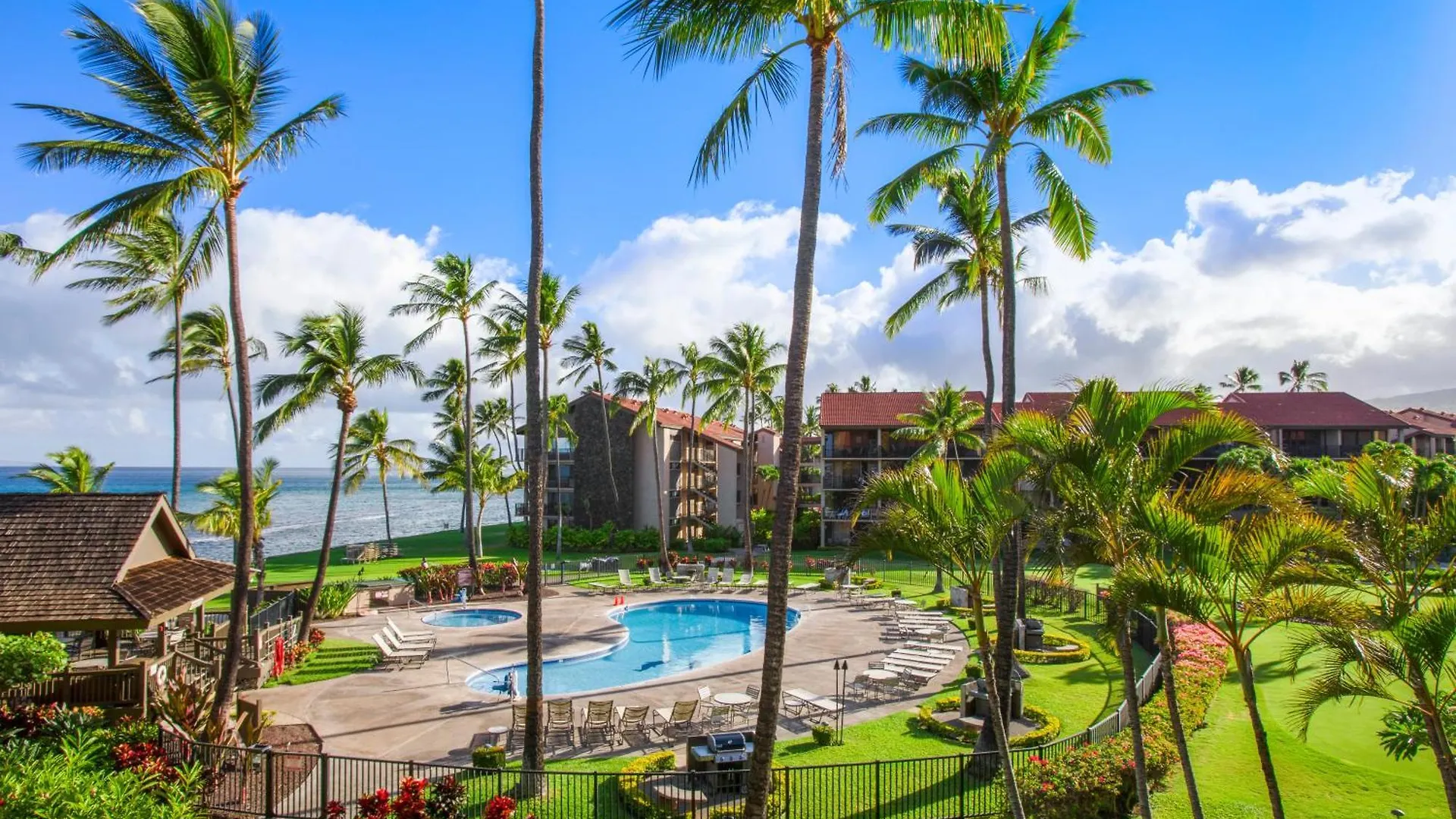 Papakea Resort K301 - 1Br Ocean View Condo With Free Parking! Kahana