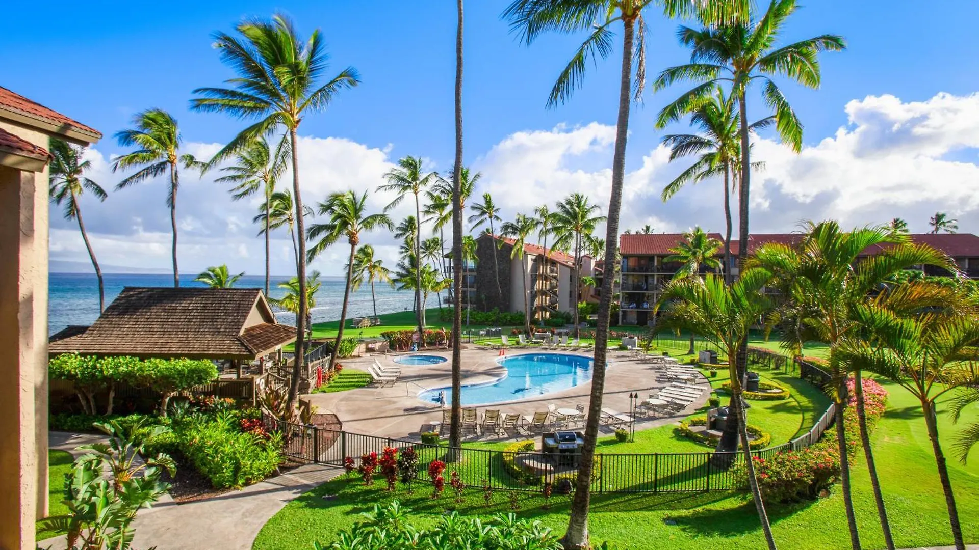Papakea Resort K301 - 1Br Ocean View Condo With Free Parking! Kahana United States
