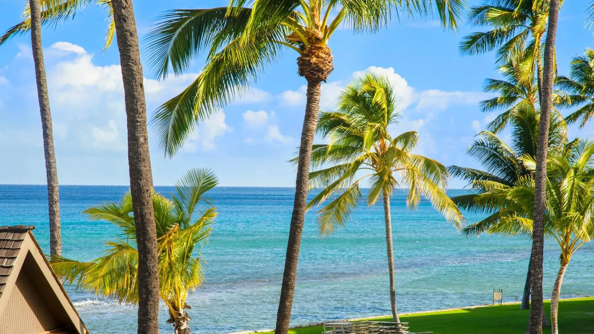 Apartment Papakea Resort K301 - 1Br Ocean View Condo With Free Parking! Kahana